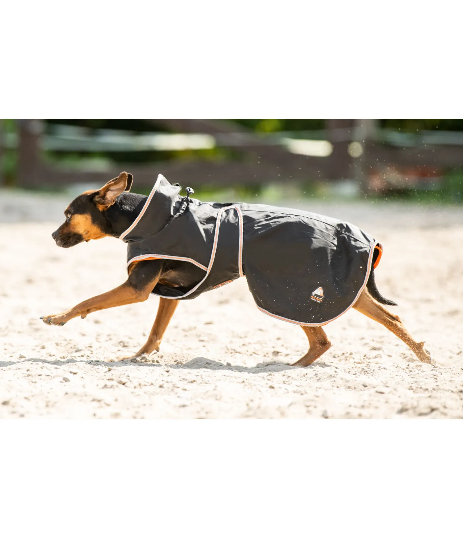 Manteau pour chien Ceramic Rehab