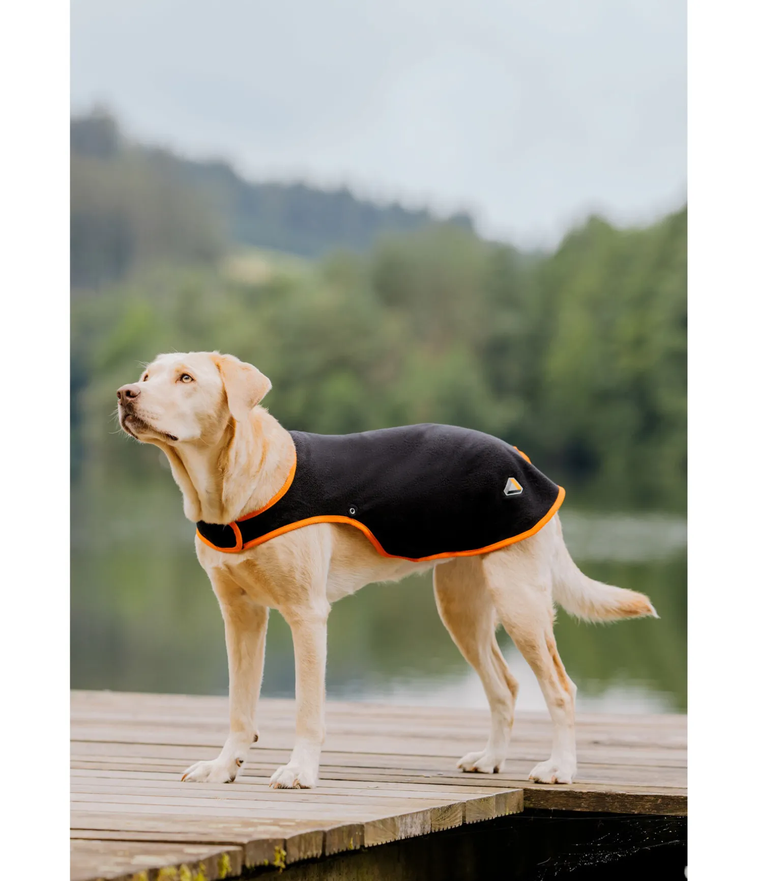 Manteau pour chien Ceramic Rehab