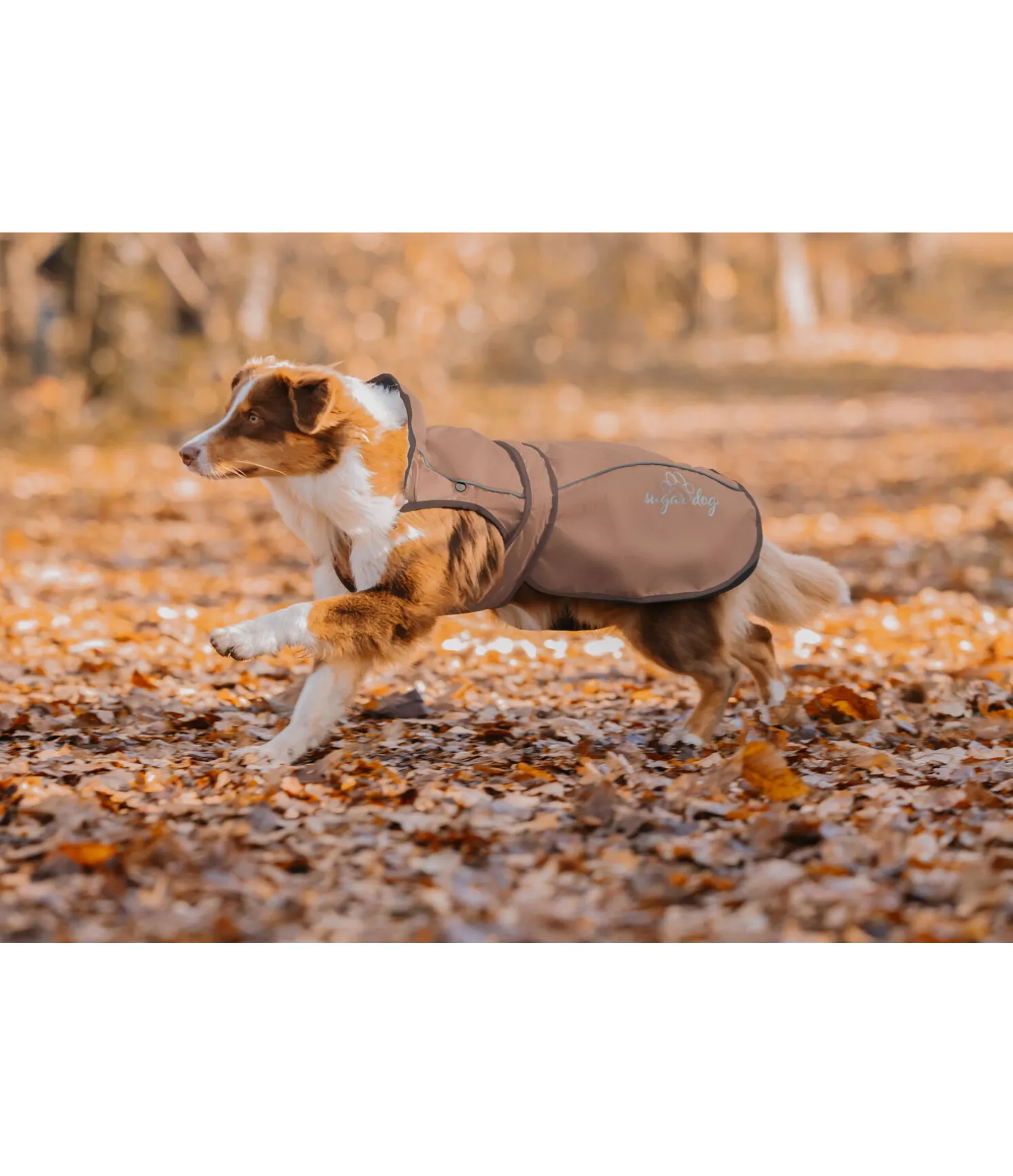 Manteau pour chien 2 en 1 Ally