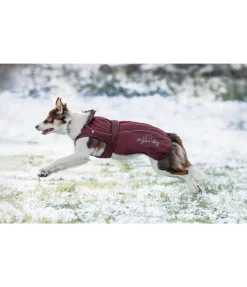 Manteau pour chien 2 en 1 Ally
