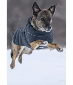 Manteau pour chien matelassé avec LED Arlo, 300 g