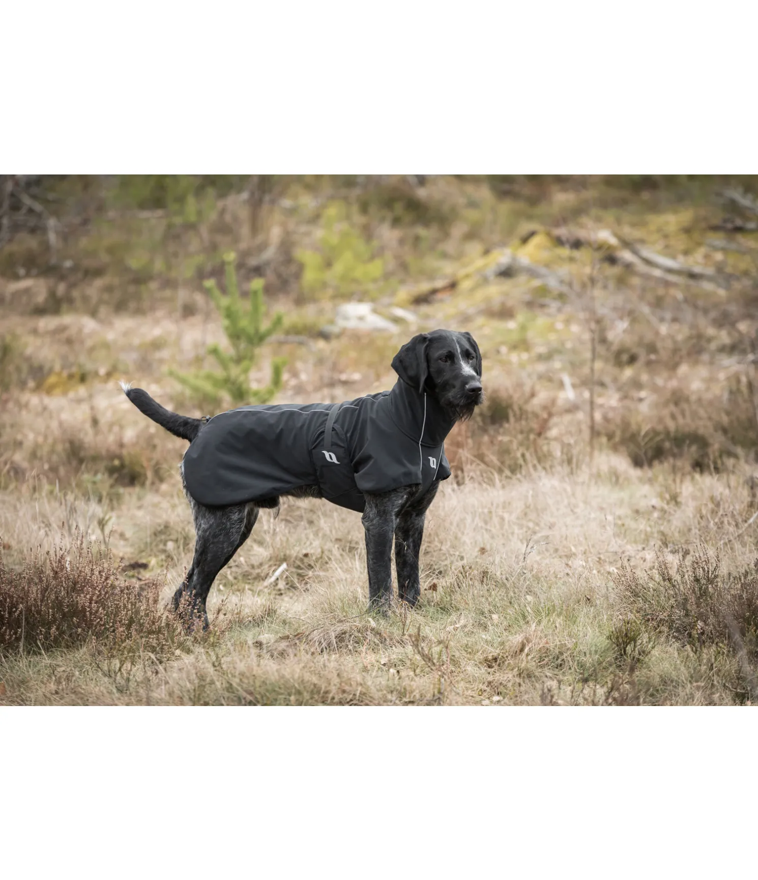 Manteau softshell pour chien Bark, 0 g