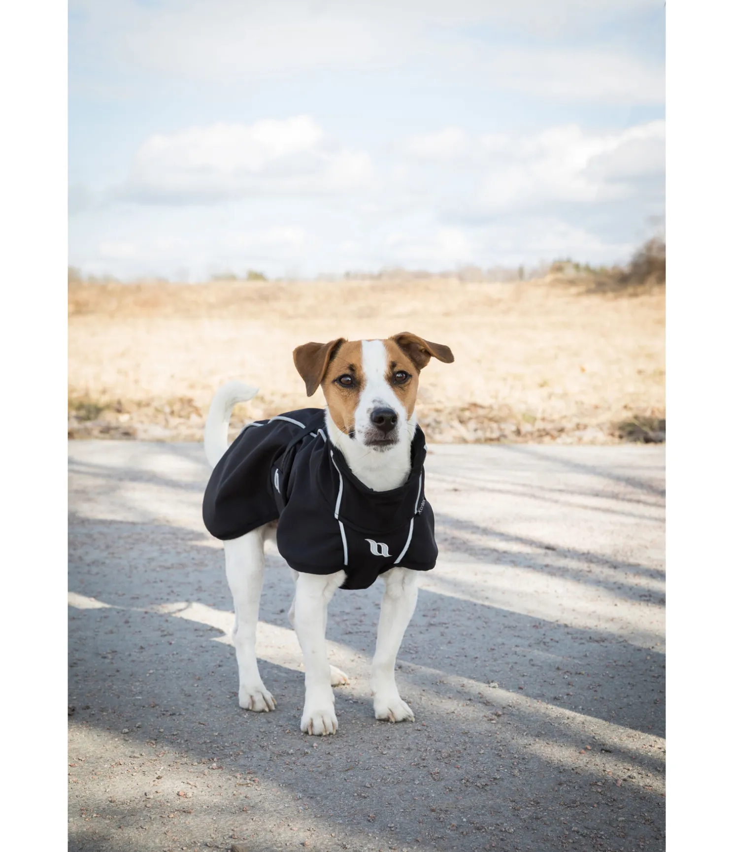 Manteau softshell pour chien Bark, 0 g