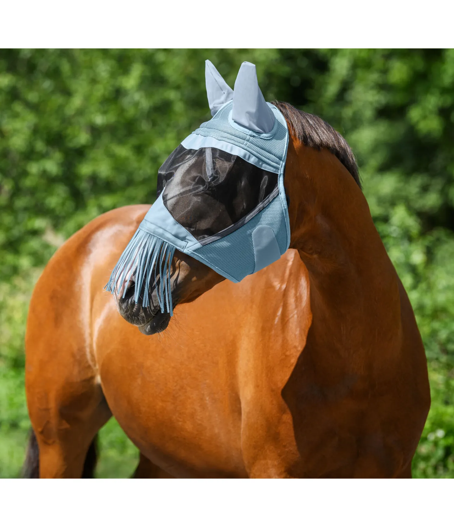 Masque anti-mouches MVT avec franges Limerick
