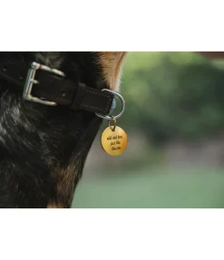Médaille Travel Buddy