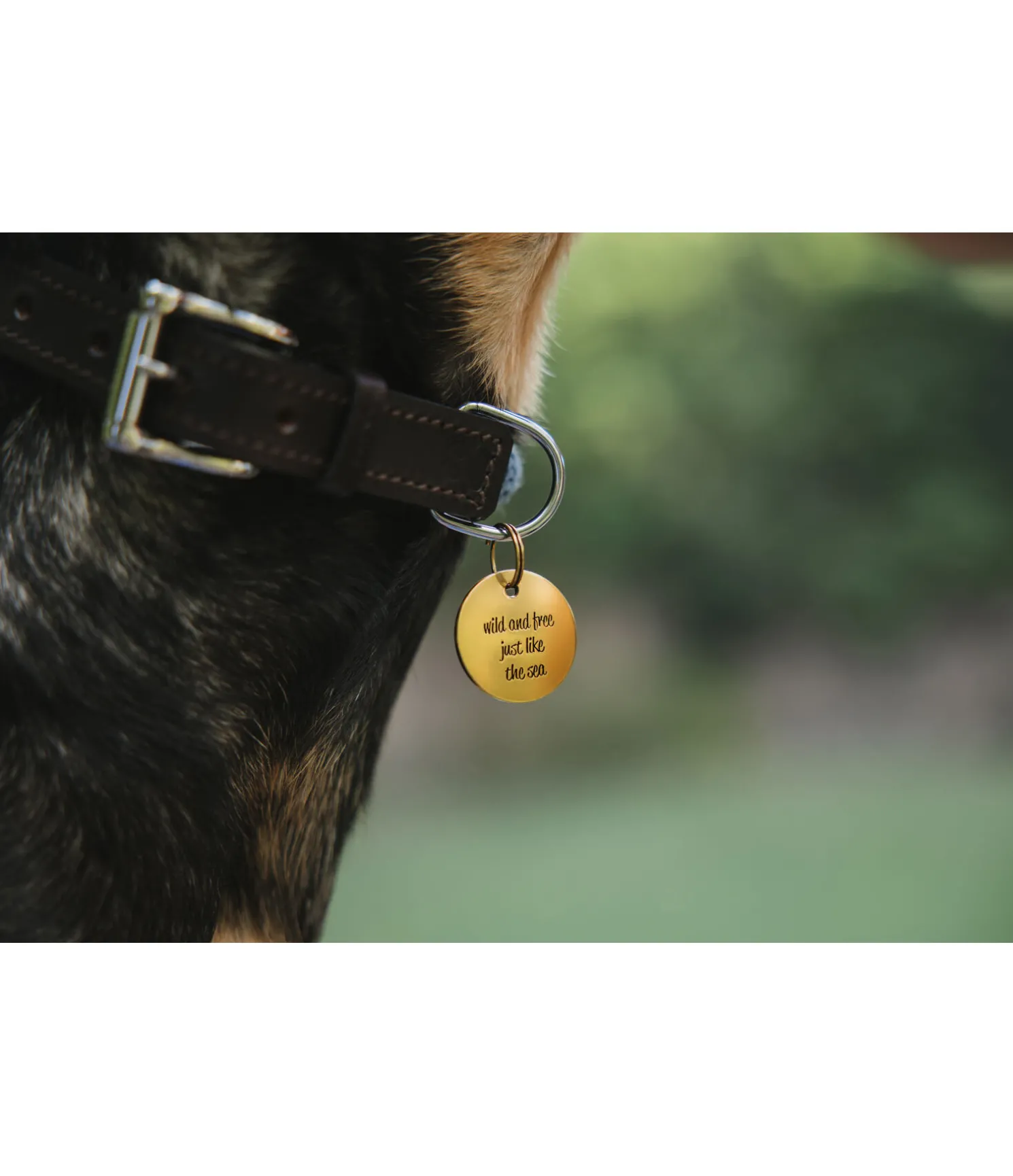 Médaille Travel Buddy