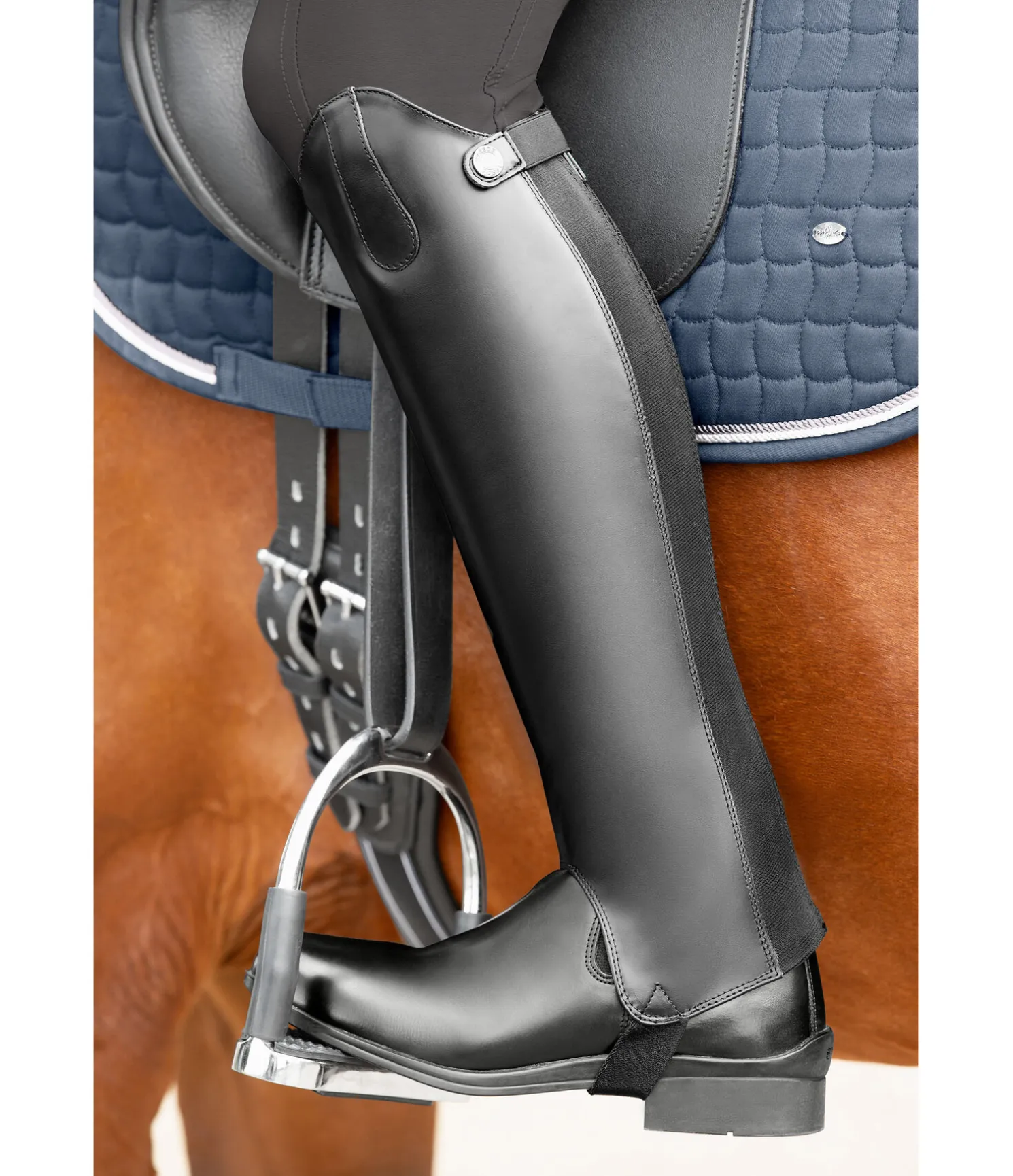 Mini-chaps Elegant
