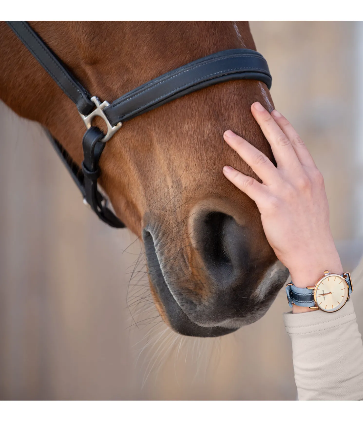Montre Classic