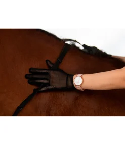 Montre Classic