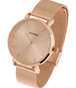 Montre Shiny