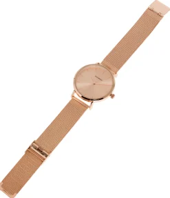 Montre Shiny