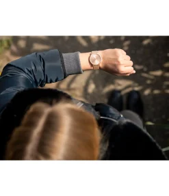 Montre Shiny