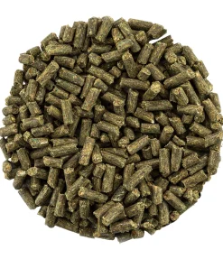 Multi Vital Robuste
