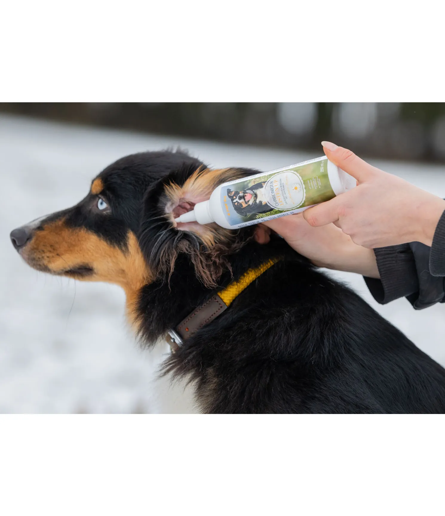Nettoyant oreilles pour chien Listen Up