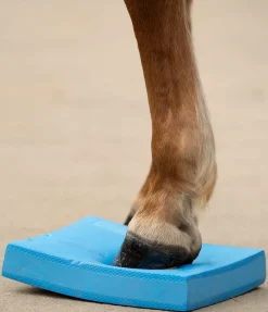 Pad d'équilibre Balance