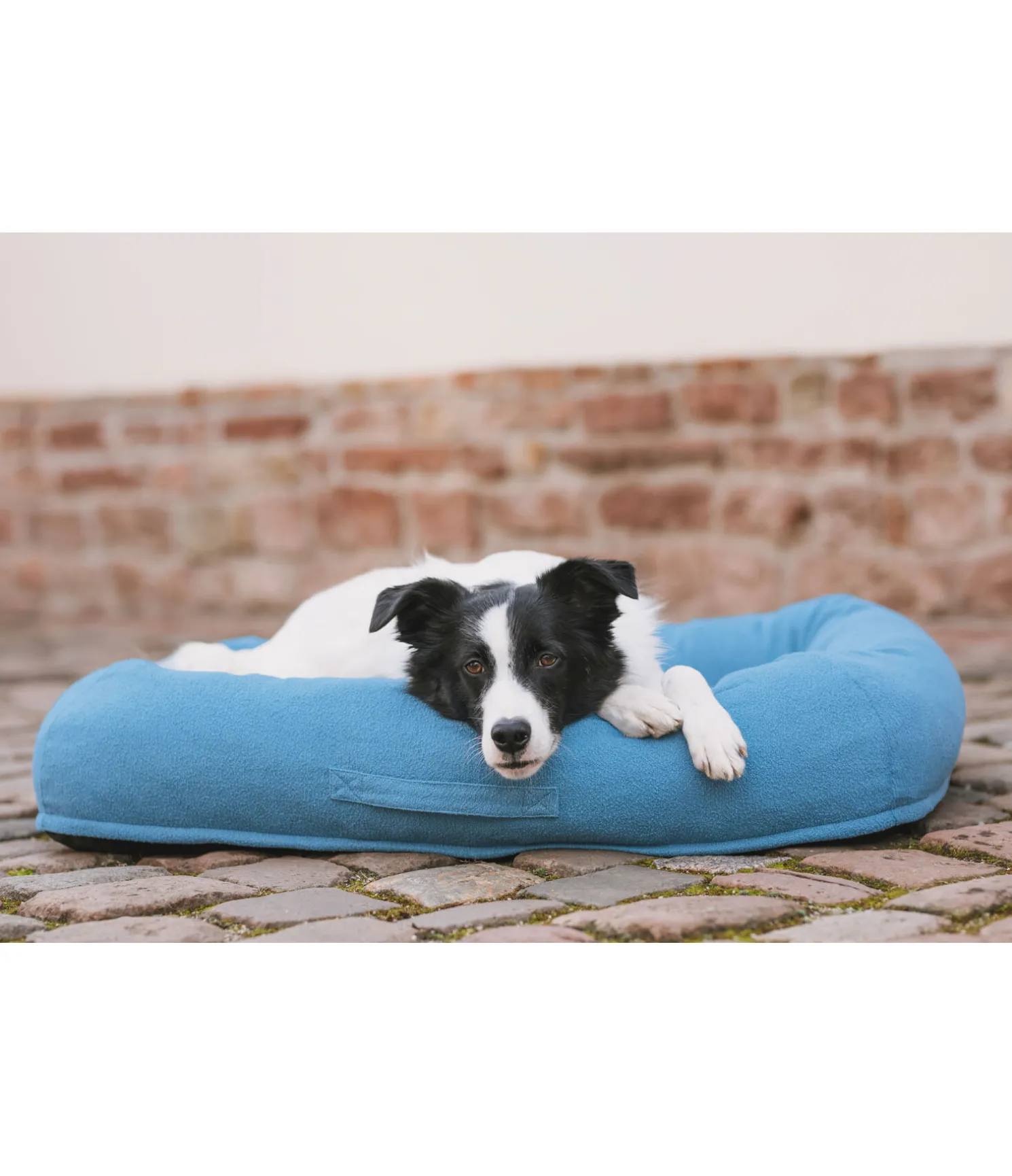 Panier pour chien Terry