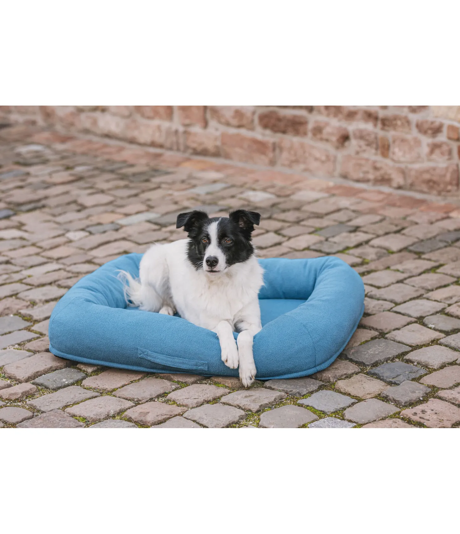 Panier pour chien Terry