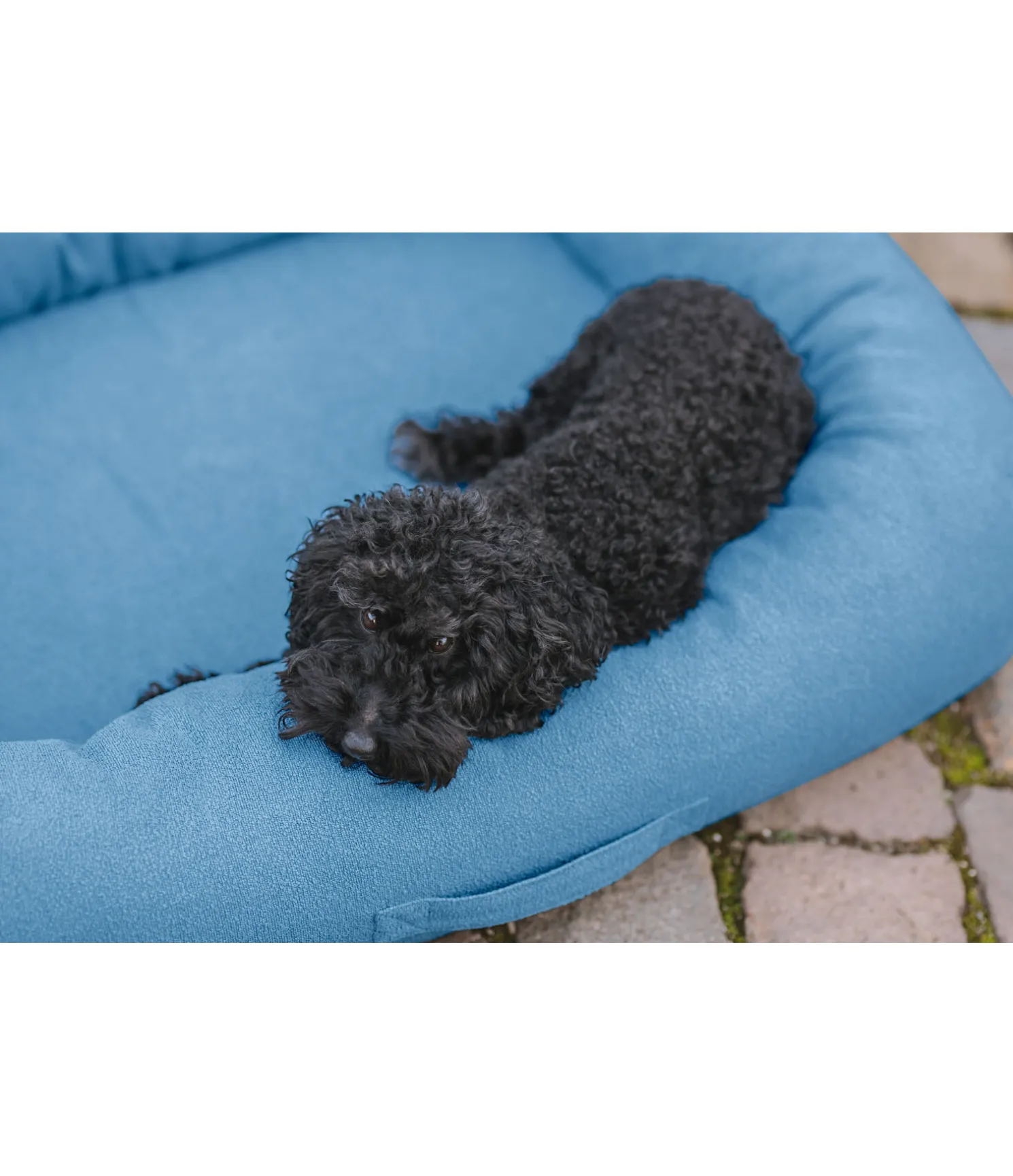 Panier pour chien Terry