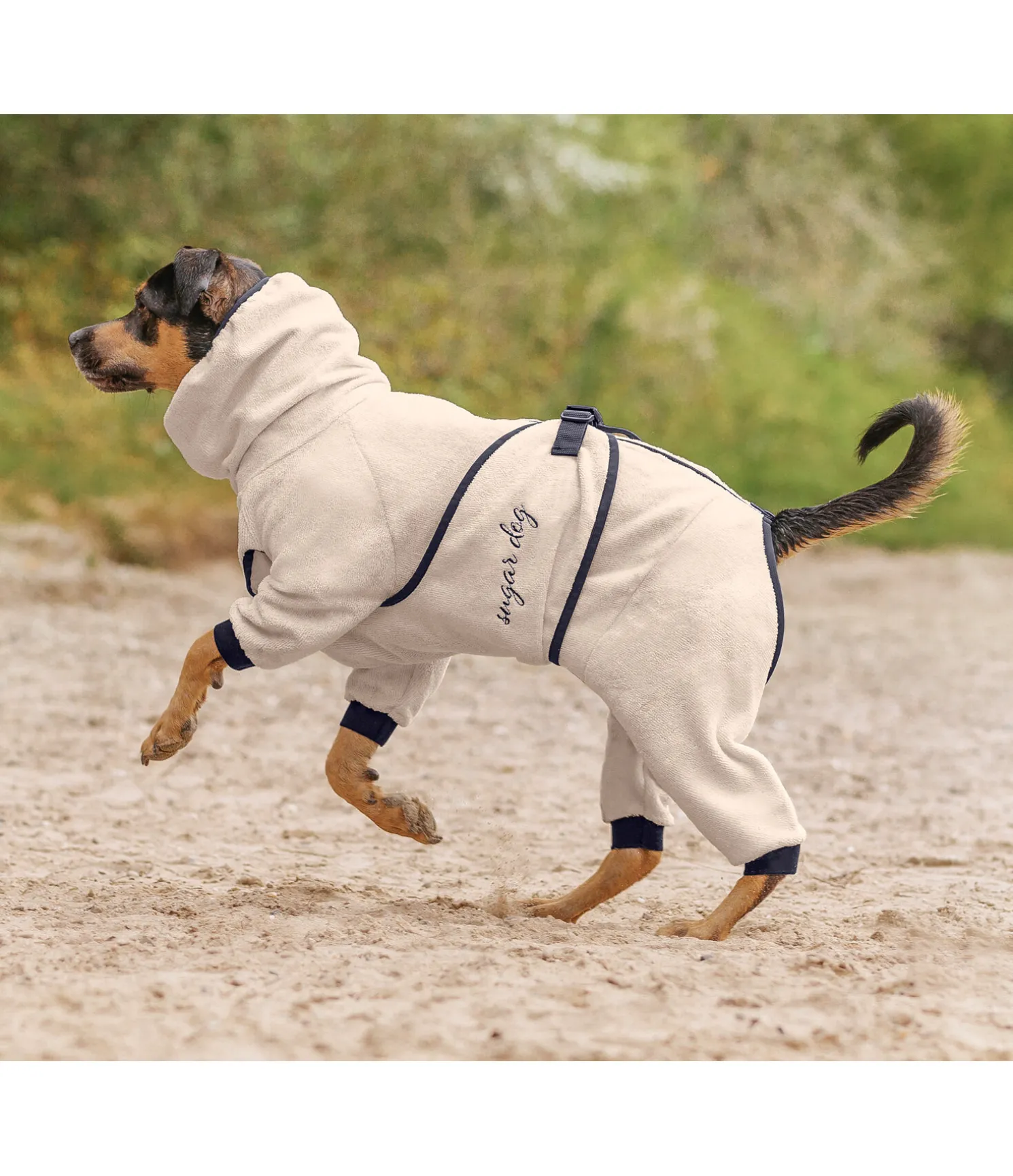 Peignoir pour chien Allover Dry