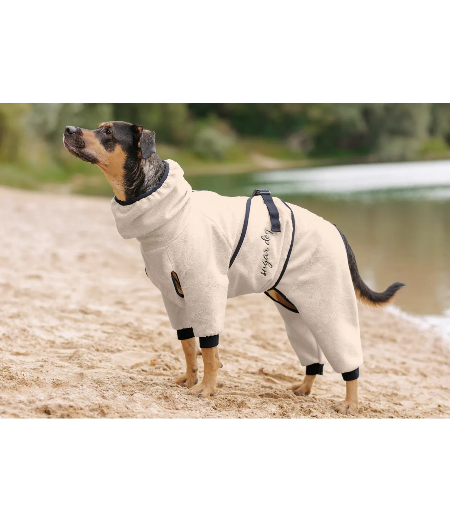 Peignoir pour chien Allover Dry