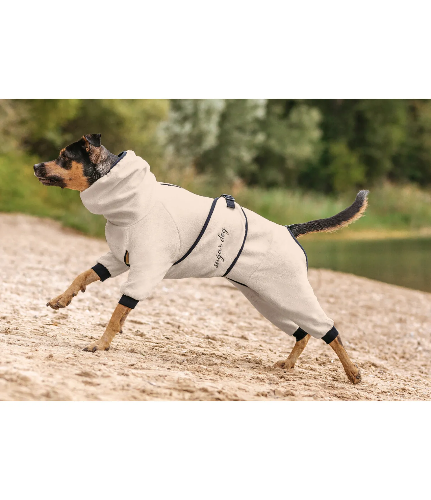 Peignoir pour chien Allover Dry