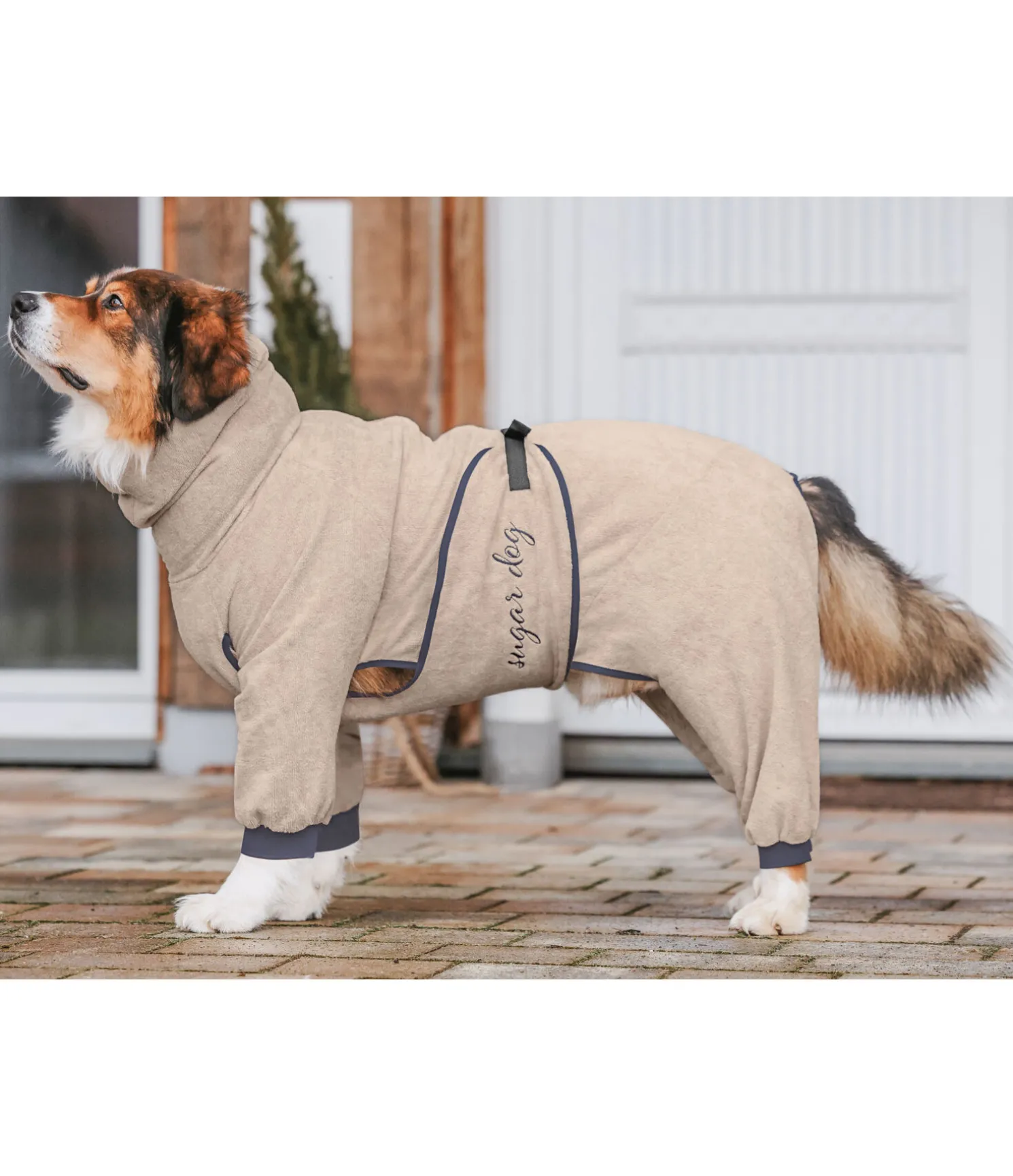 Peignoir pour chien Allover Dry