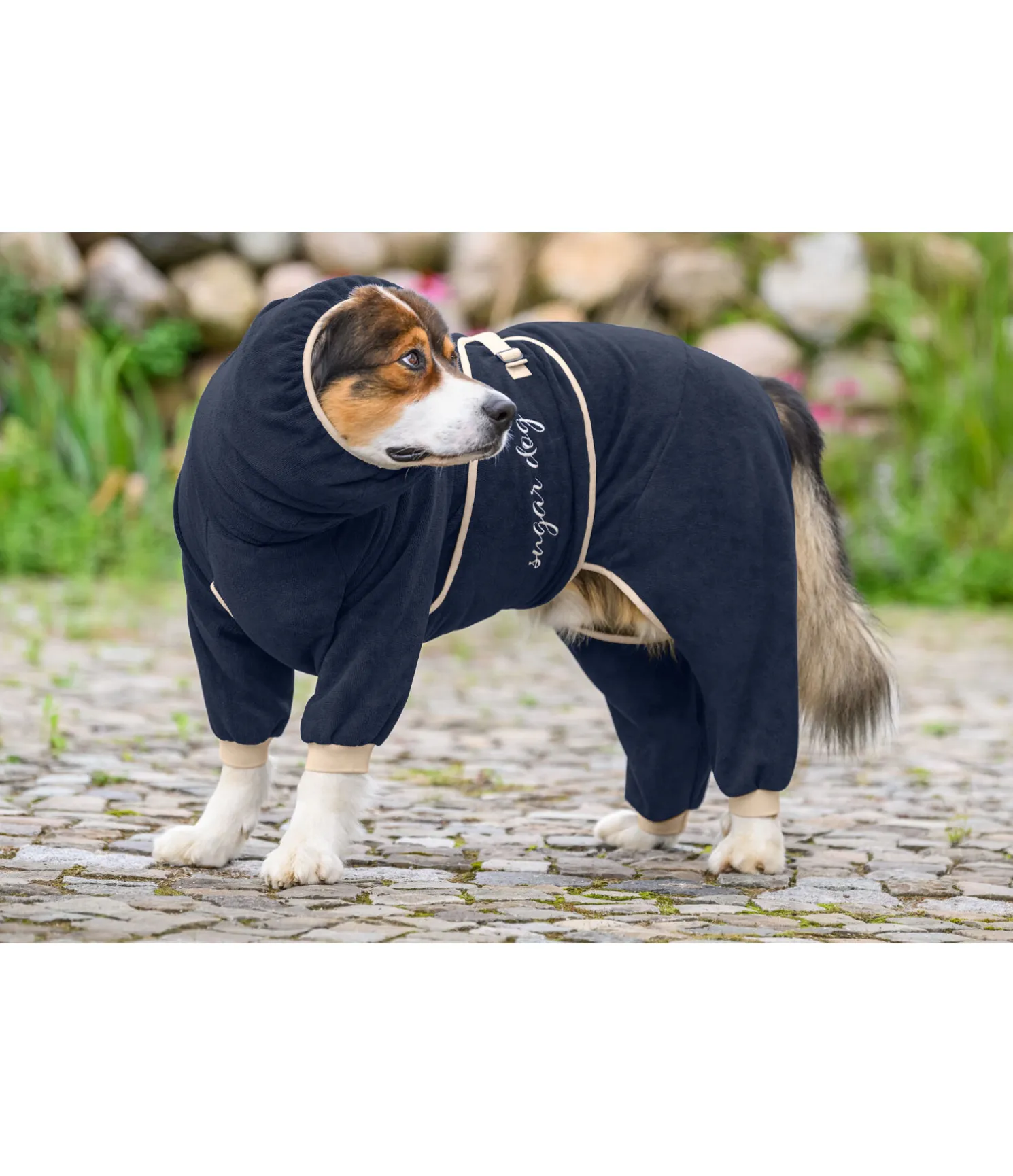 Peignoir pour chien Allover Dry
