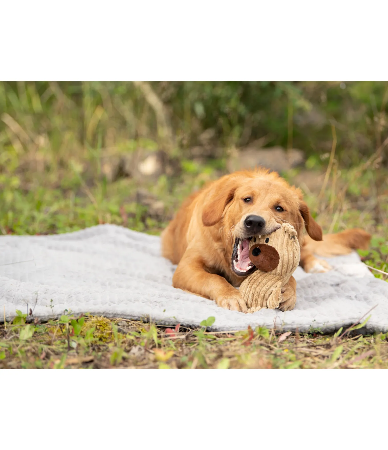 Peluche ours pour chien Bruno