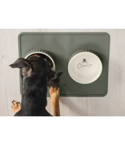 Plateau pour gamelles en silicone pour chien Salinas