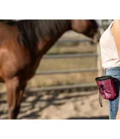 Poche à récompenses