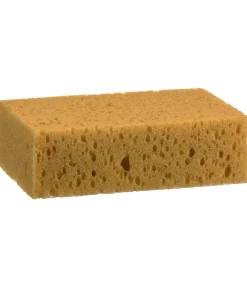 Éponge de soin