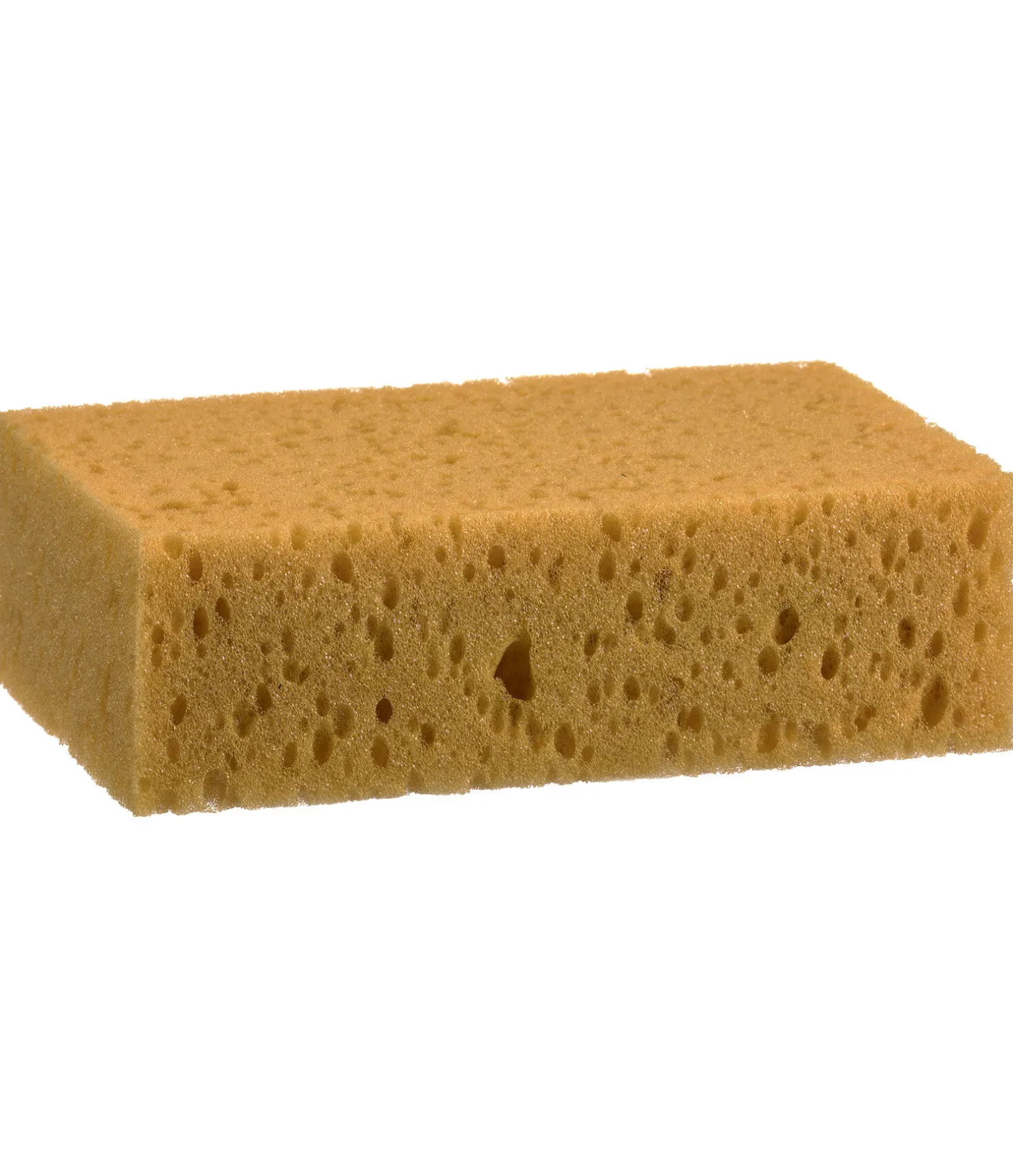 Éponge de soin
