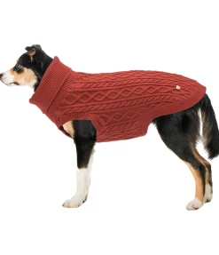 Pull col roulé Maisie