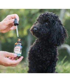 Répulsif anti-tiques pour chiens Spot On