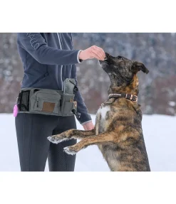 Sac banane pour l'entraînement Obedience