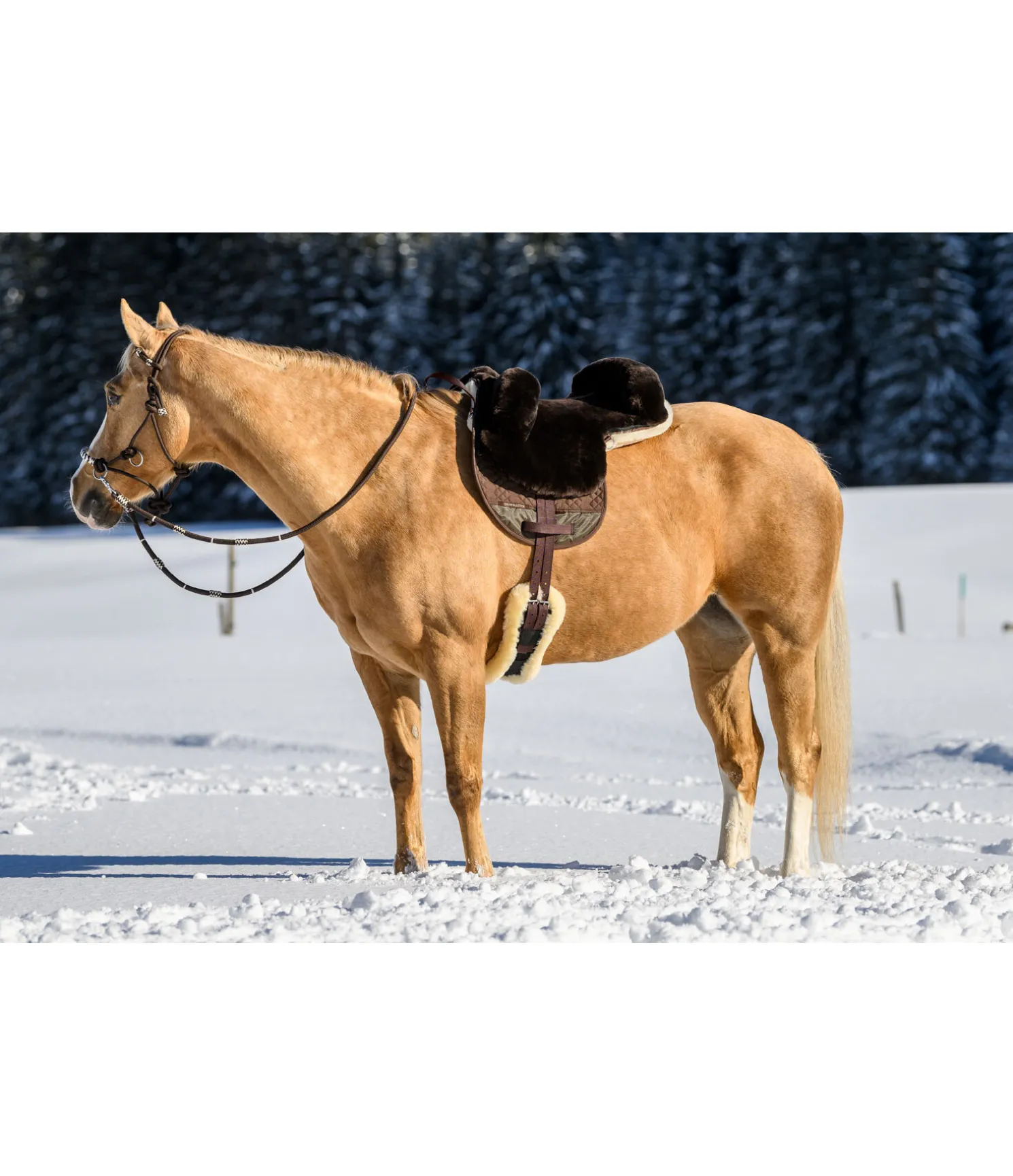 Selle de loisir en véritable fourrure d'agneau