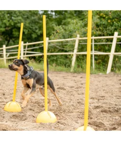 Supports d'agility