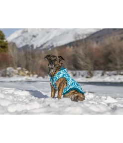 Sweat à capuche pour chien Daphne