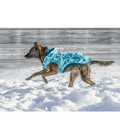 Sweat à capuche pour chien Daphne