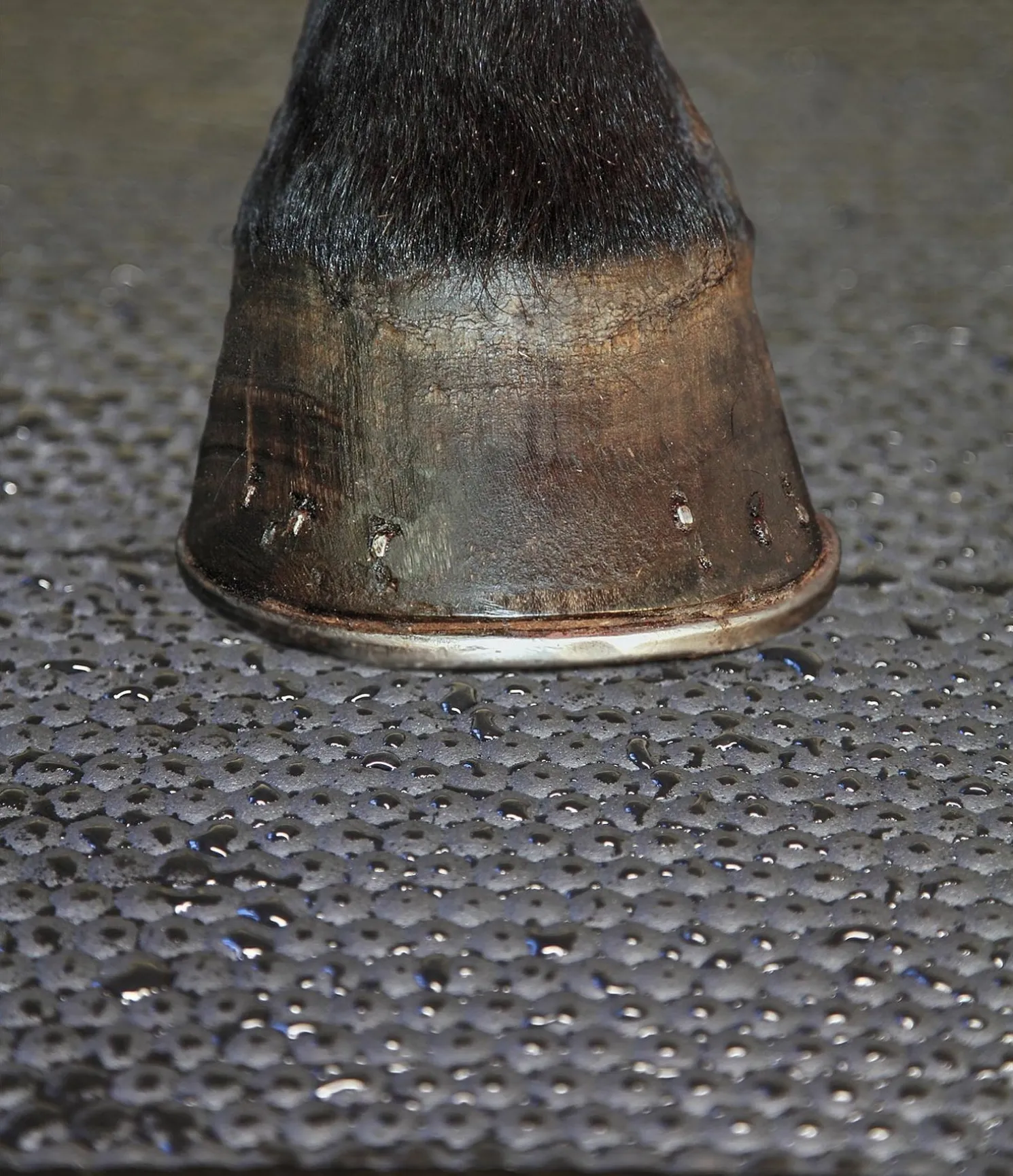 Tapis d'écurie
