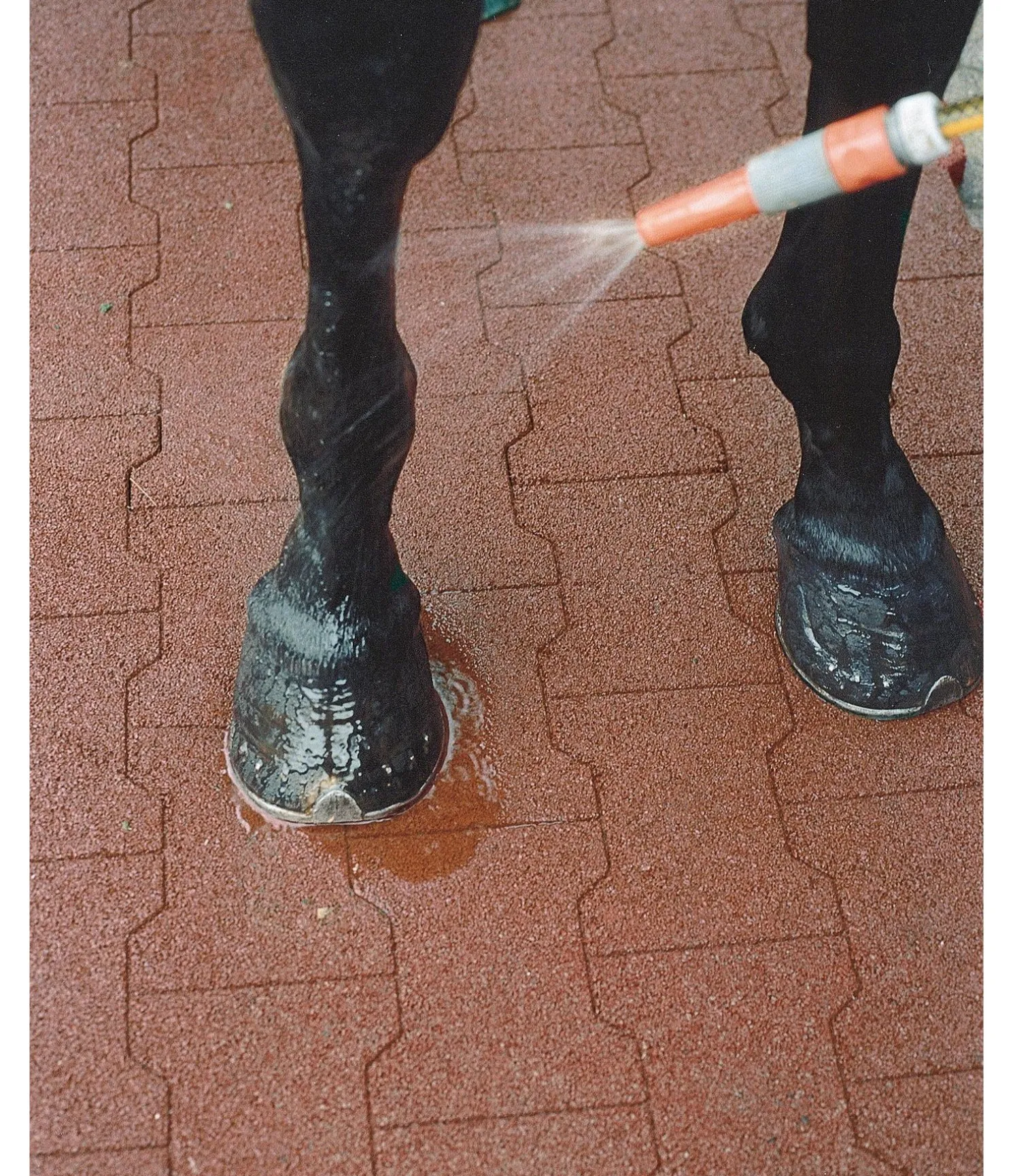 Tapis de paddock, aspect pavé