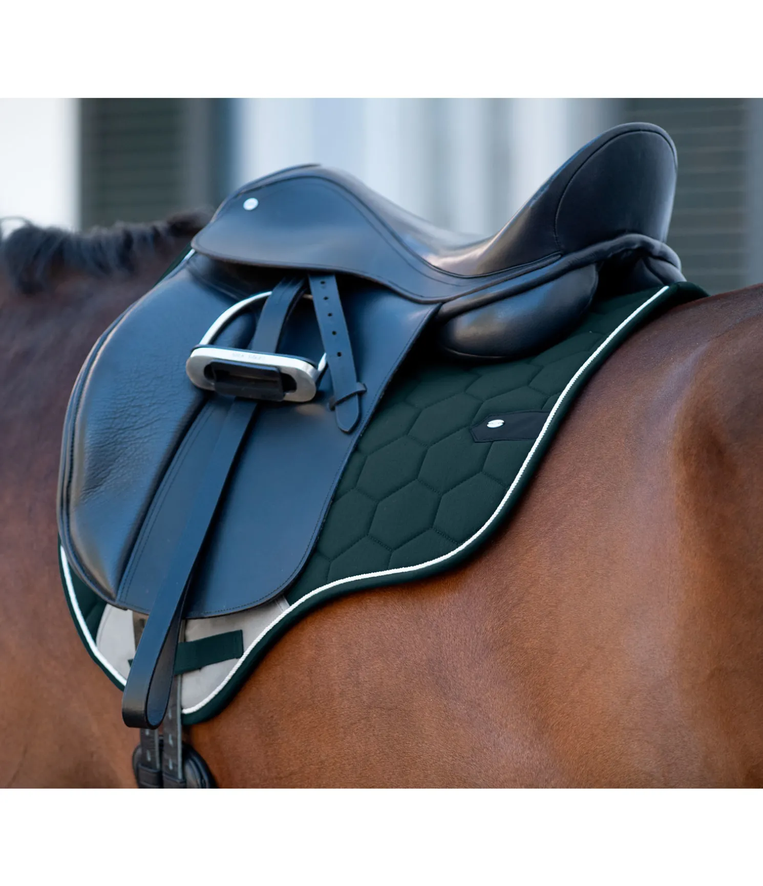 Tapis de selle Basic Pro