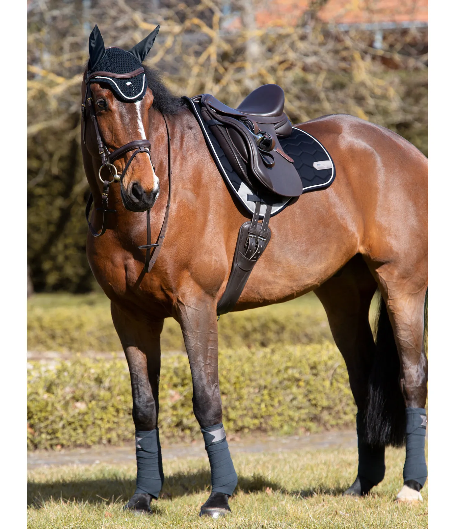 Tapis de selle Basic Pro