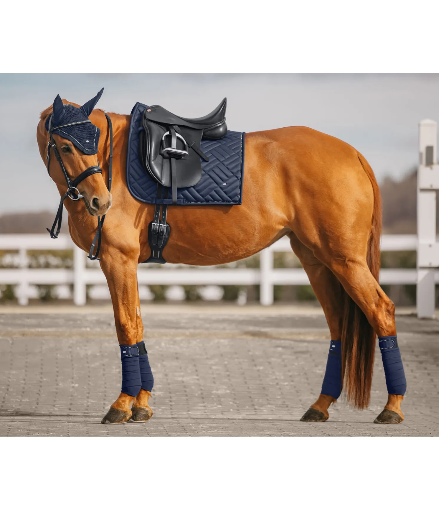 Tapis de selle Brillant