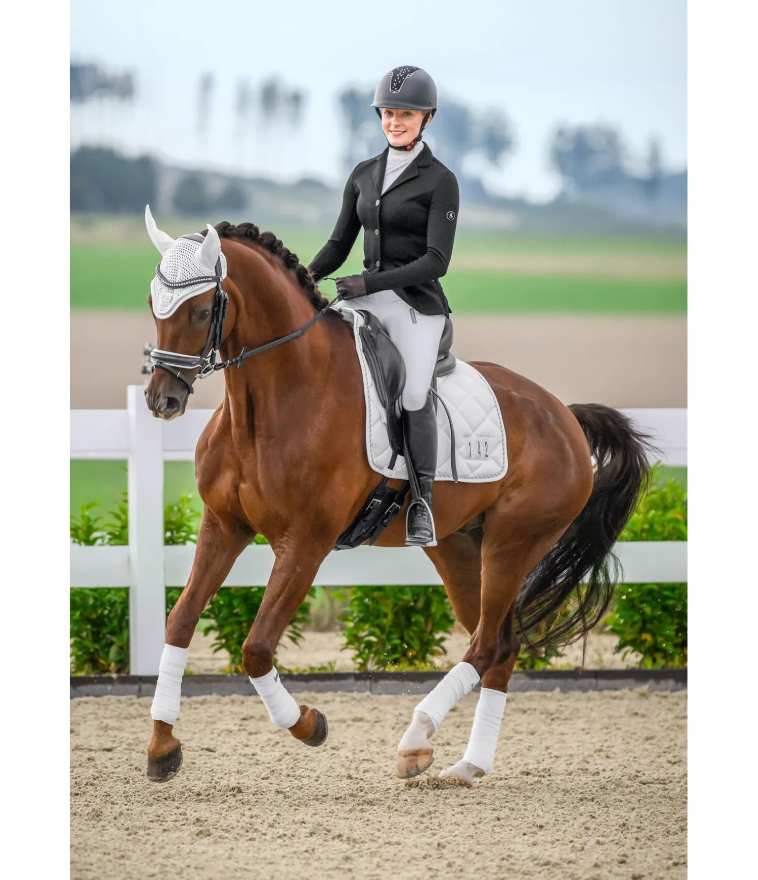 Tapis de selle de concours Numbers II