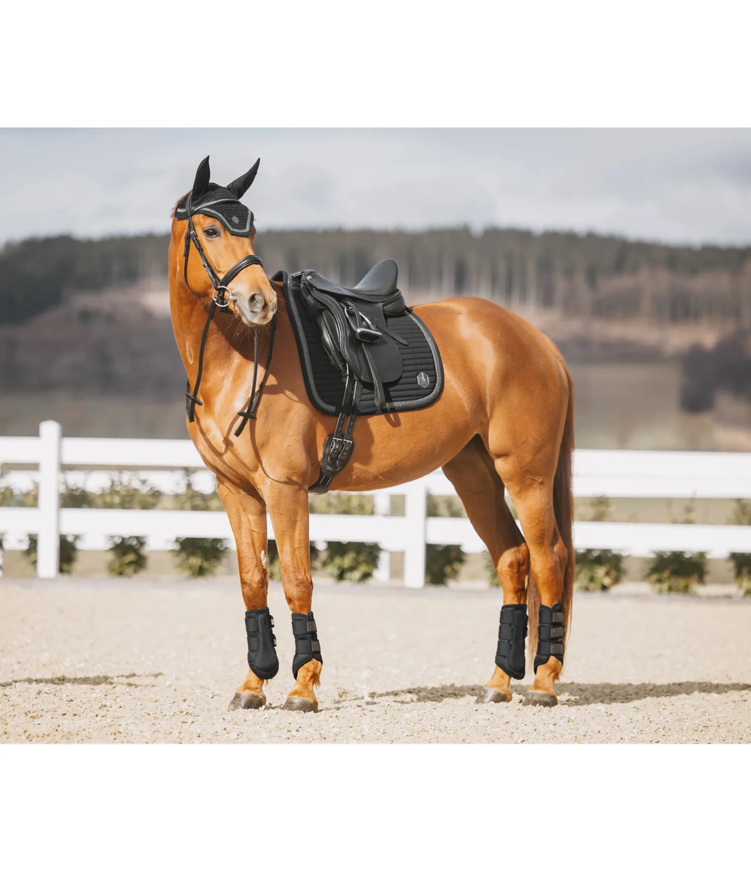 Tapis de selle Glitter