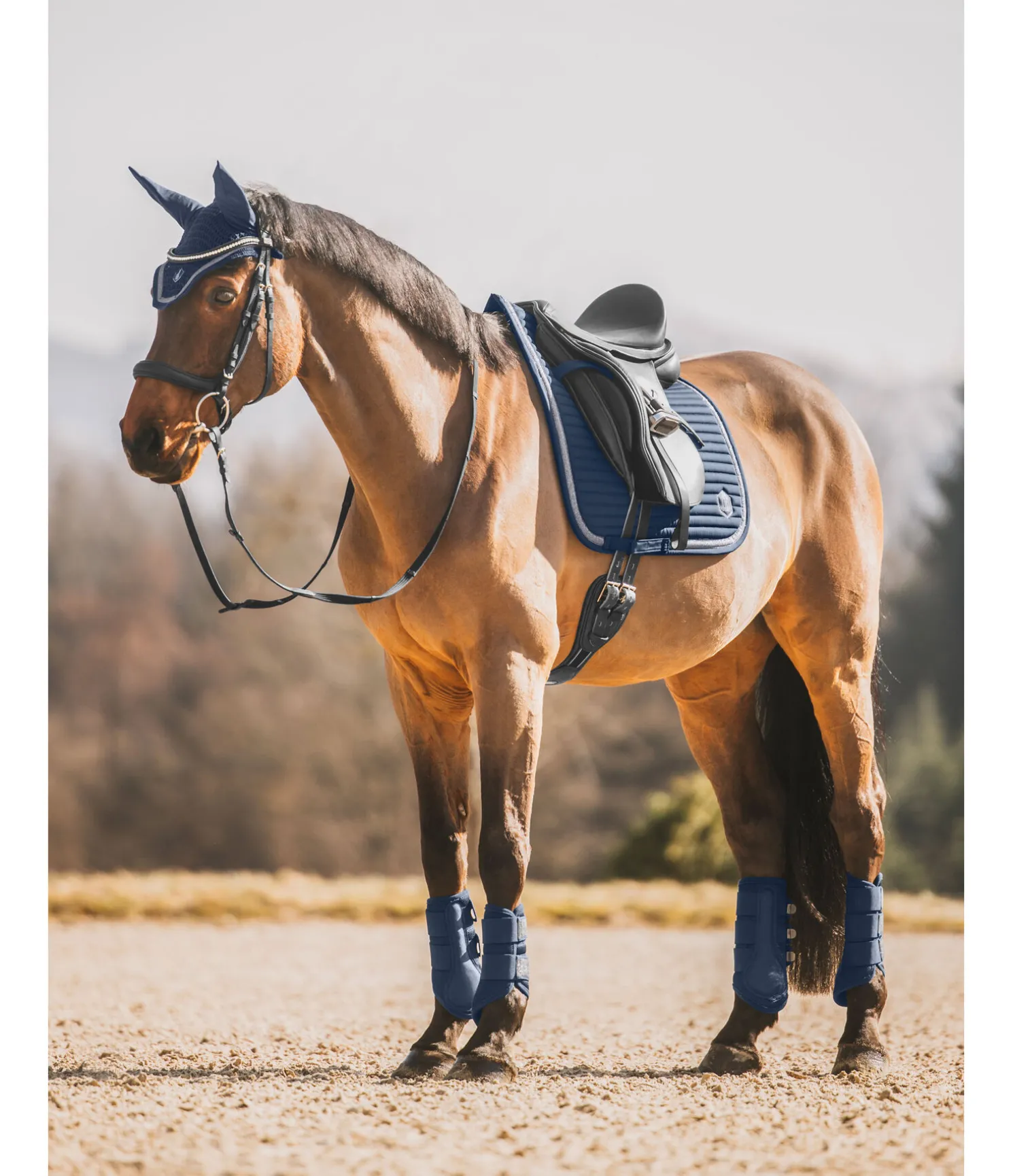 Tapis de selle Glitter