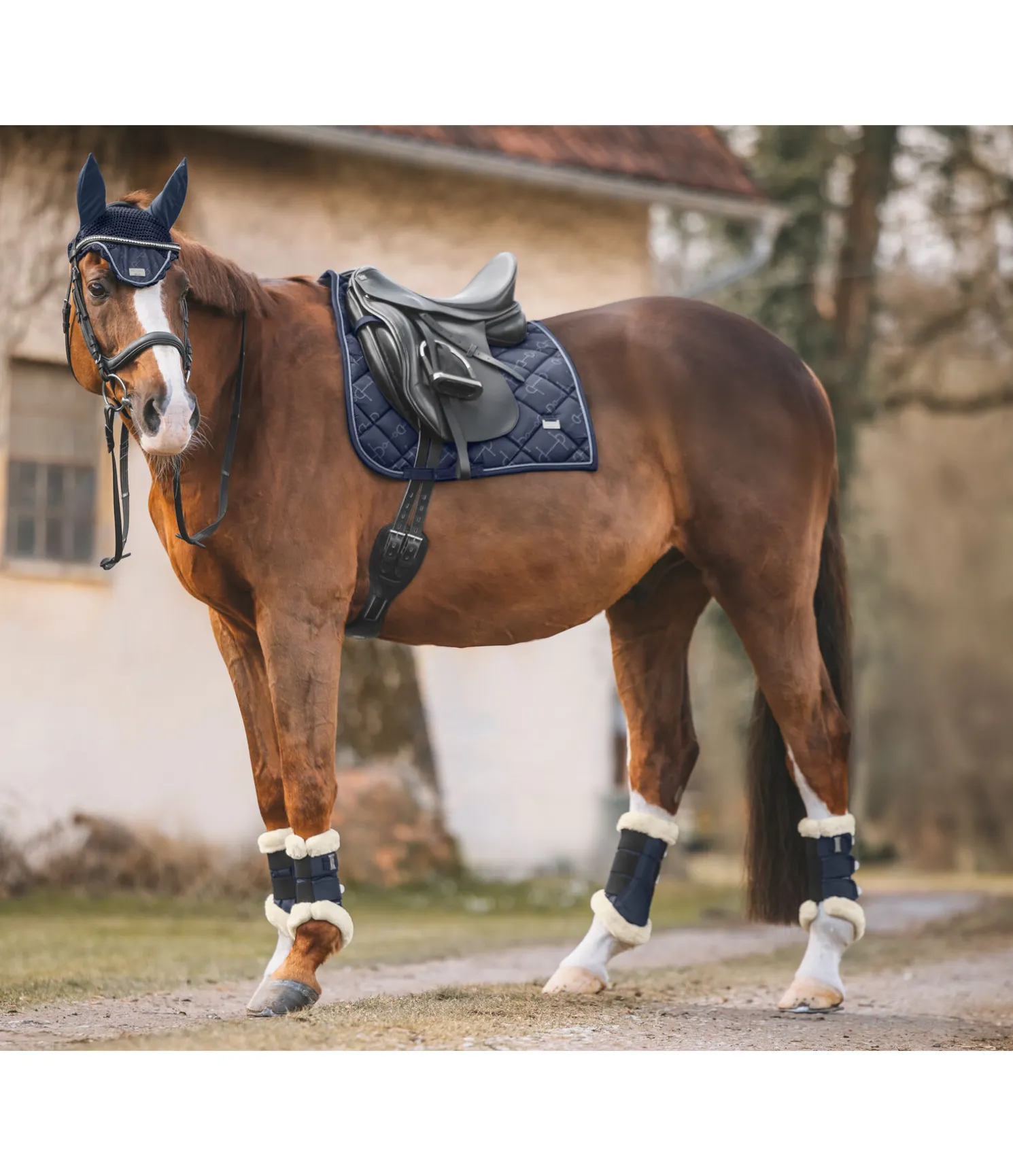Tapis de selle Signature II