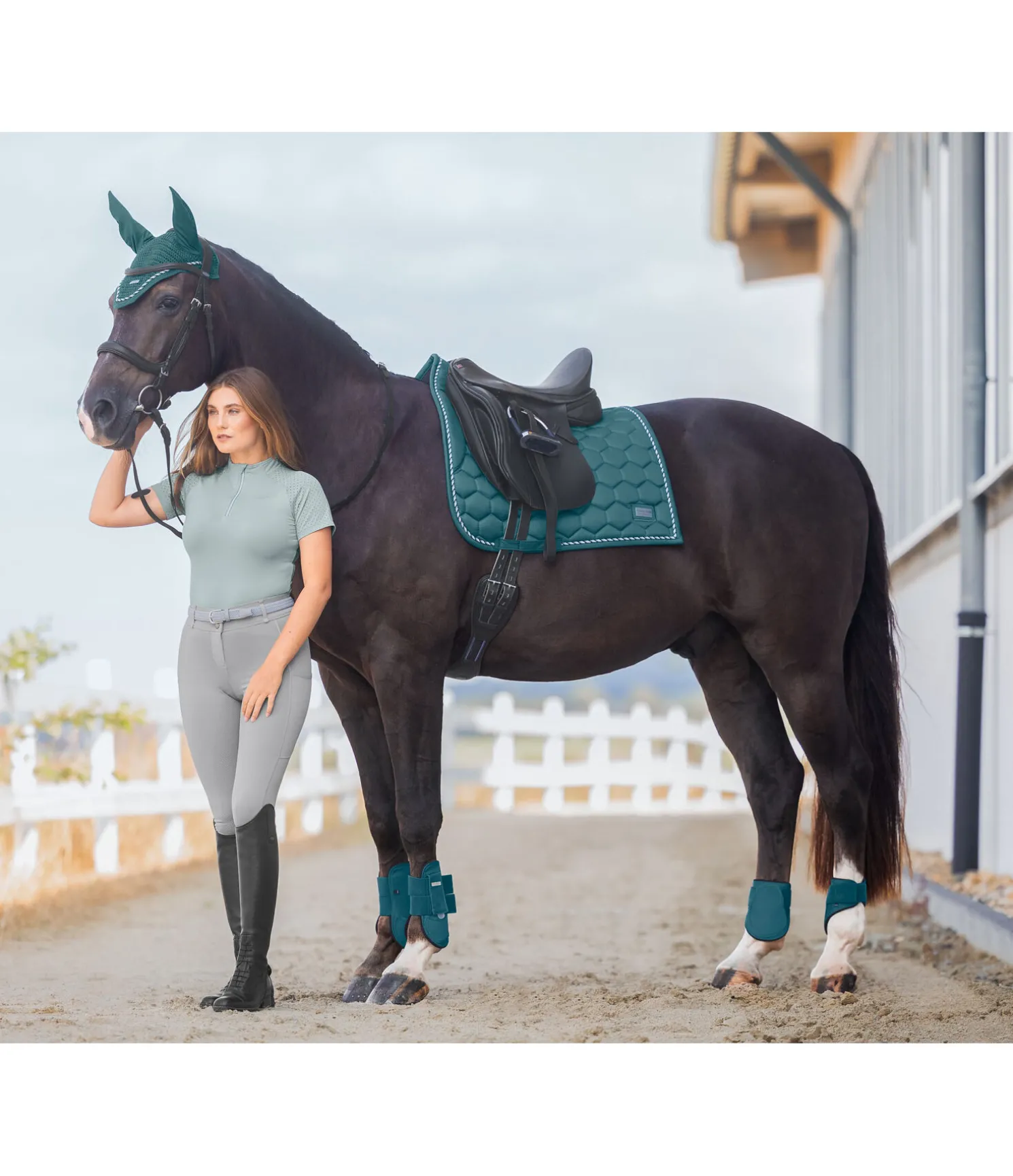 Tapis de selle Sophistication sans passants de contre-sanglons