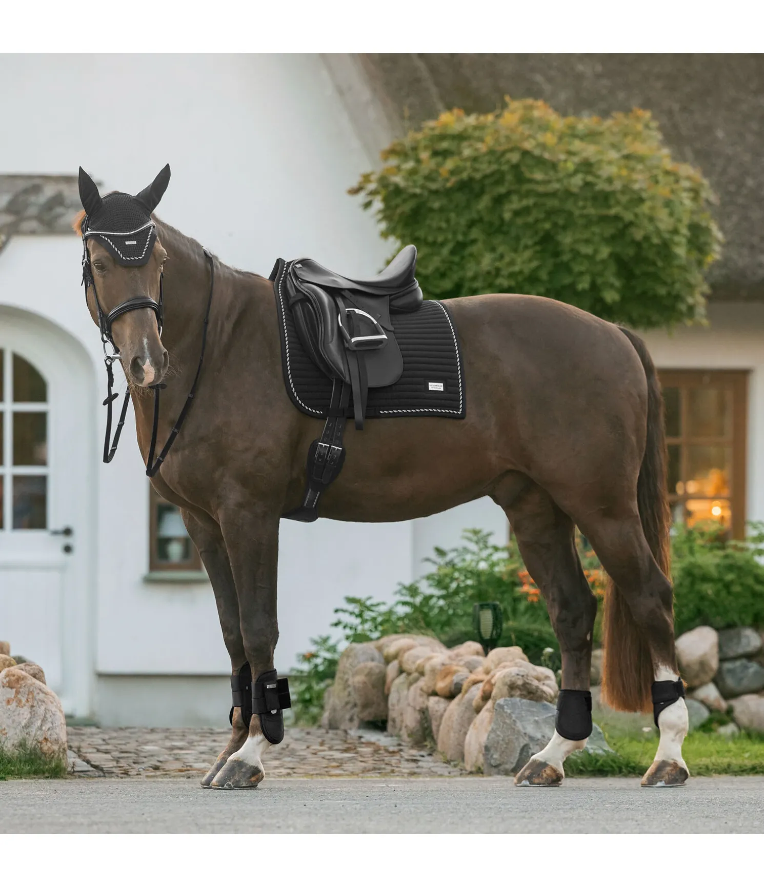Tapis de selle Sophistication